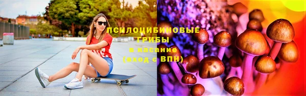 СК Богданович