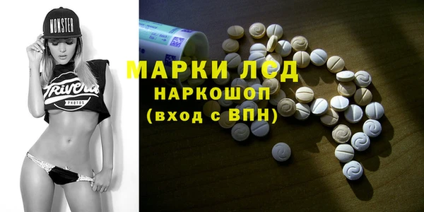 индика Богородицк