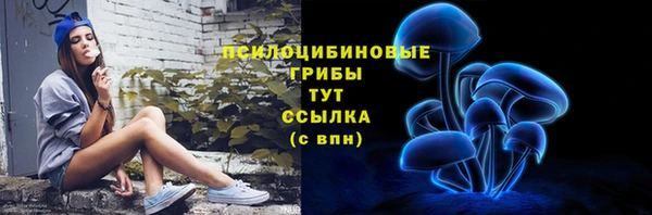 MESCALINE Чердынь