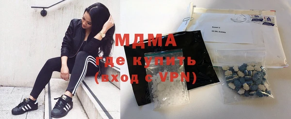 индика Богородицк