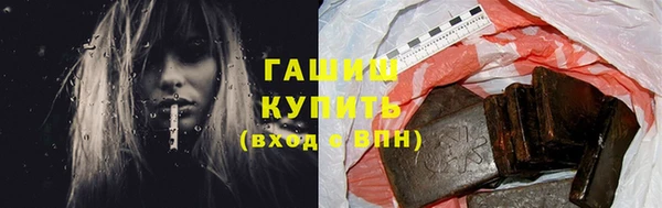индика Богородицк