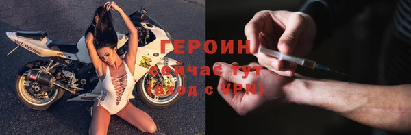 индика Богородицк
