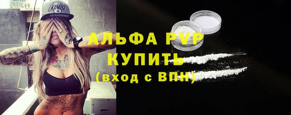 индика Богородицк