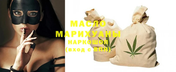 индика Богородицк