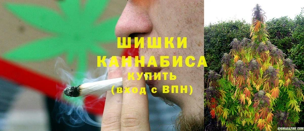 индика Богородицк