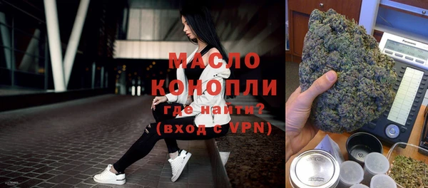 индика Богородицк