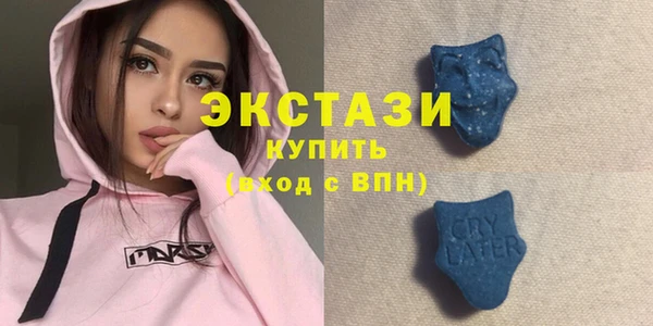индика Богородицк