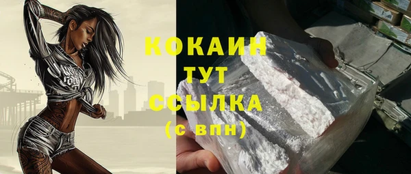 индика Богородицк