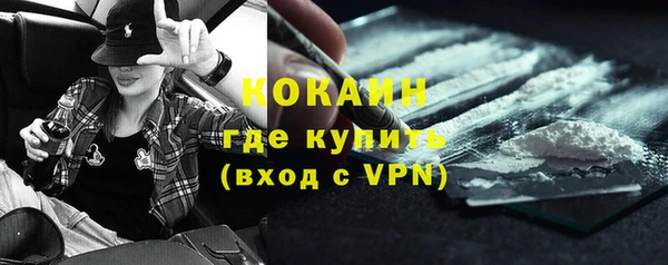 индика Богородицк