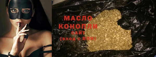 индика Богородицк