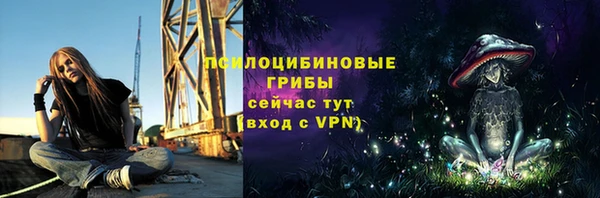 прущие грибы Чекалин