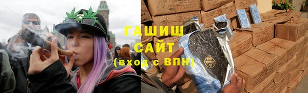 индика Богородицк