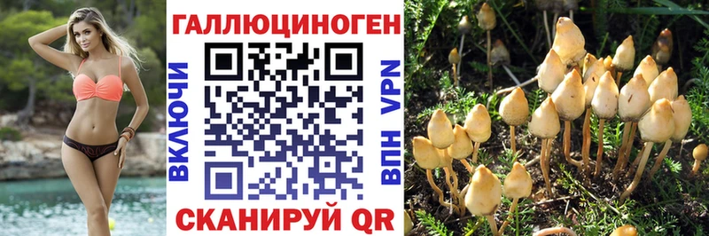 Галлюциногенные грибы Magic Shrooms  Красноуфимск 